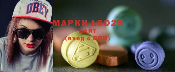 индика Армянск