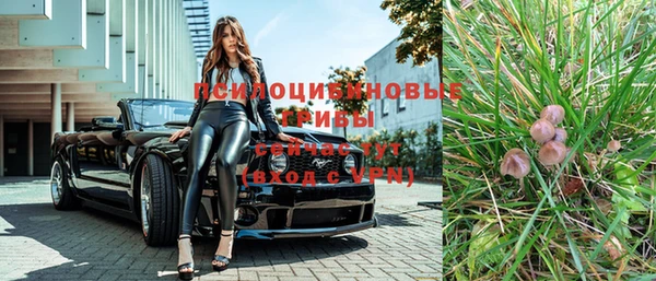 индика Армянск