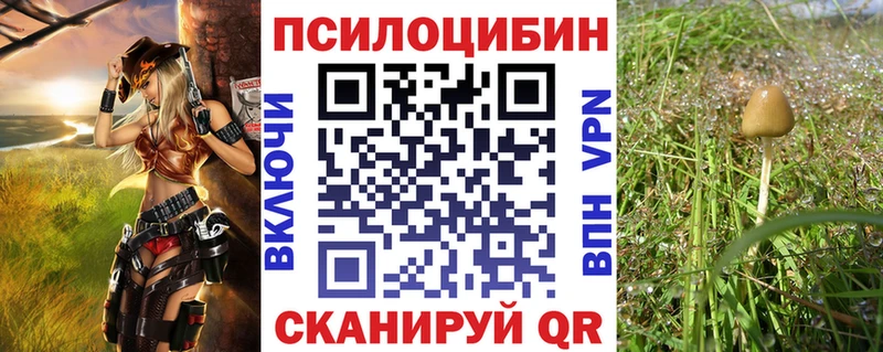 Галлюциногенные грибы Cubensis Сурск